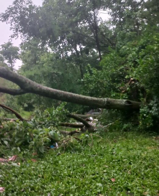 Chapecó decreta situação de emergência por prejuízos causados pela chuva e vendaval