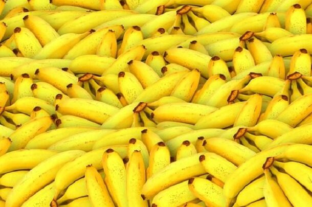 Rixa, disputa e tentativa de homicídio por bananas levará trio ao tribunal do Júri em SC