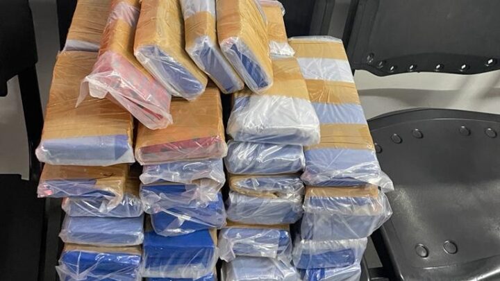 Vídeo: Polícia Civil apreende 25 kg de maconha na rodoviária de Xanxerê