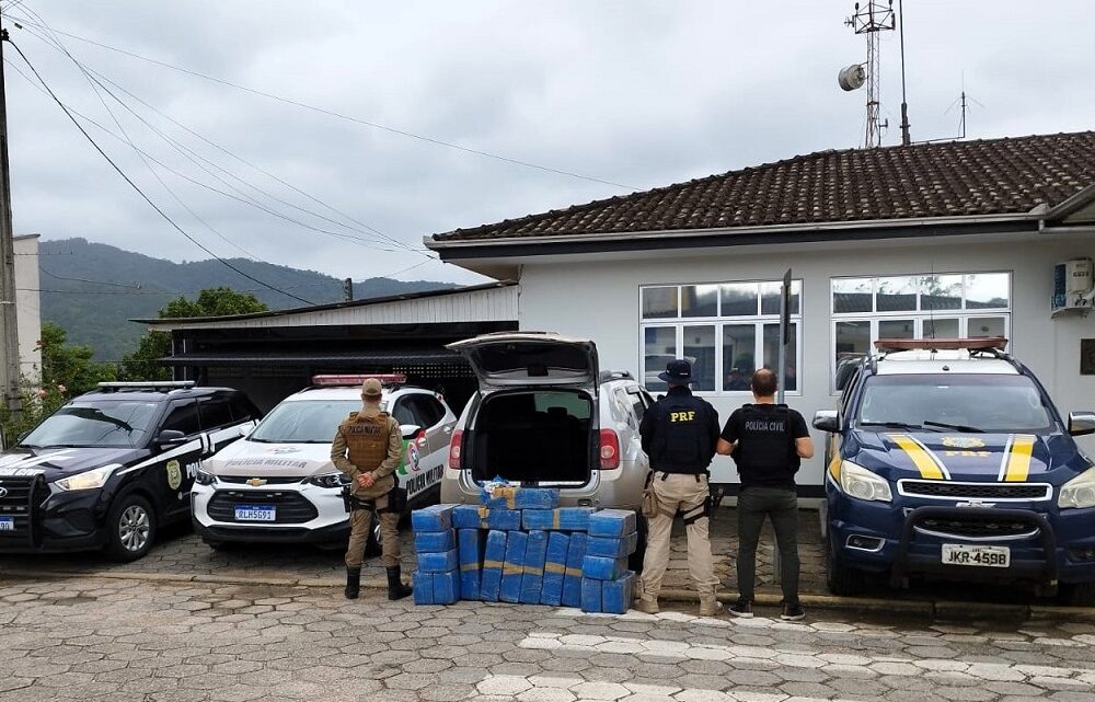 Vídeo: ação conjunta PRF, PM e Civil apreende mais de 300 quilos de maconha no sul do estado