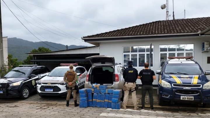 Vídeo: ação conjunta PRF, PM e Civil apreende mais de 300 quilos de maconha no sul do estado