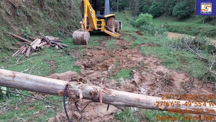 Homem tem perna e costela quebradas após uma árvore cair em cima dele em SC