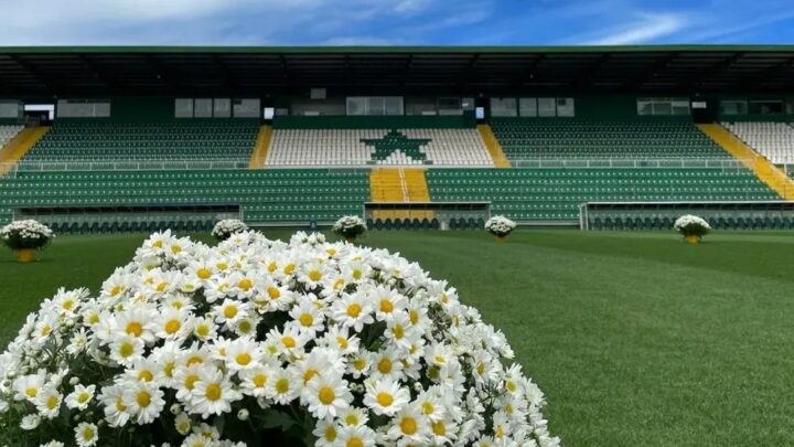 Flores na Arena Condá e torcedores homenageiam vítimas do acidente aéreo da Chapecoense