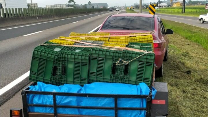 Caminhão com traseira excessivamente arqueada é flagrado na BR-116