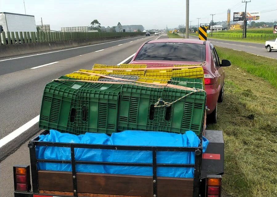 Vídeo: mais de meia tonelada de maconha é localizada em carro e carretinha na BR-101 em Araranguá