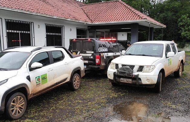 Polícia Civil e Cidasc identificam rebanho bovino irregular em Irani