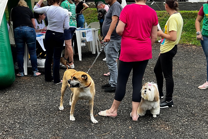 NAPA vacina cerca de 700 animais contra a raiva