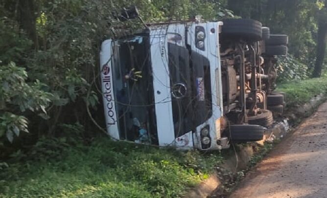 Motorista sai ileso após capotar caminhão carregado com suínos na BR-282