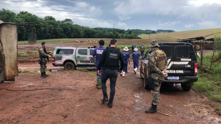 Denúncias levam polícia a identificar irregularidades sanitárias e crime ambiental em Xanxerê