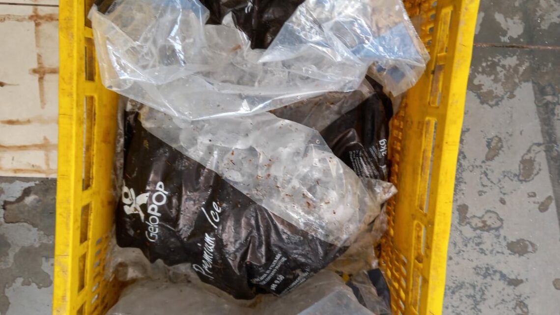Polícia Civil prende homem por furto de sacos de gelo em posto de gasolina no oeste