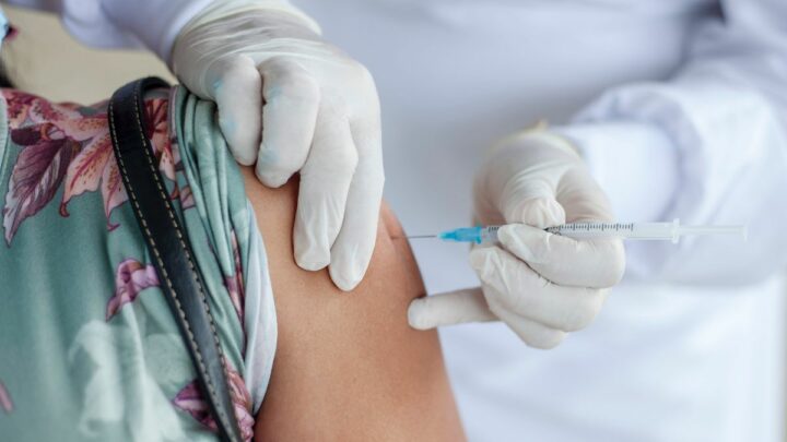 SC fica de fora da primeira remessa de vacinas contra a dengue