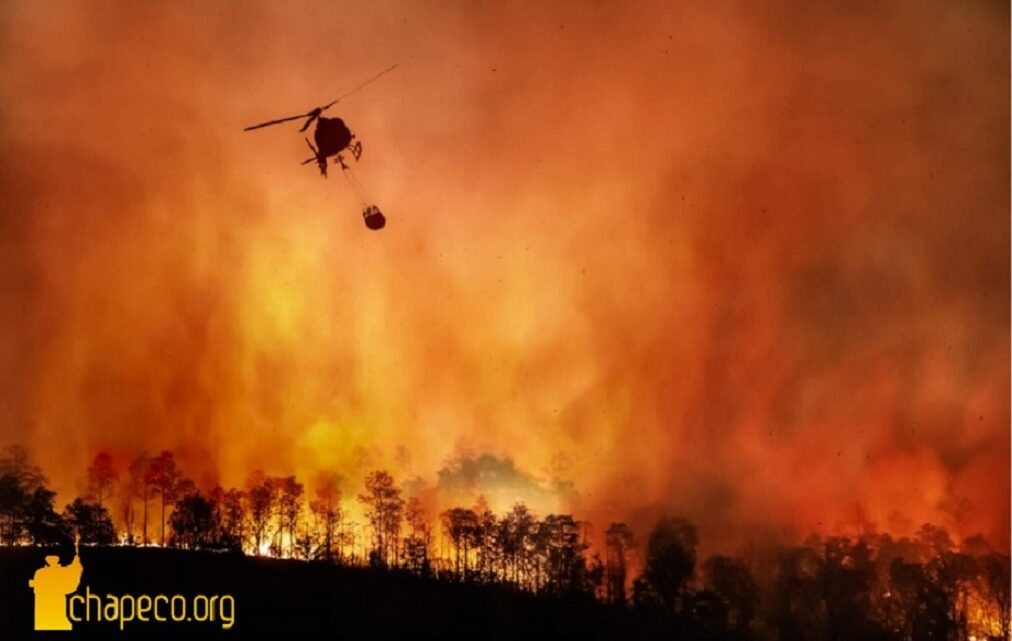 Amazônia bate recorde de focos de incêndio para o mês de fevereiro