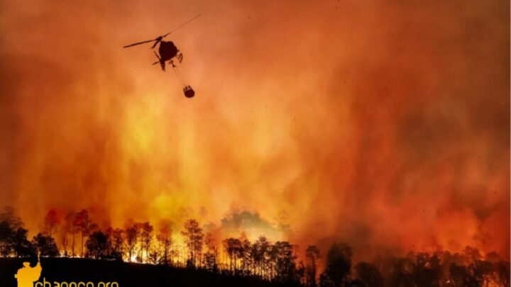 Amazônia bate recorde de focos de incêndio para o mês de fevereiro