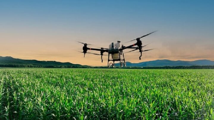 Secretaria de Saúde usará drone agrícola para pulverizar biolarvicida contra mosquito da dengue