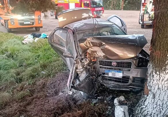 Carro sai da pista, colide em árvore e deixa feridos no Oeste