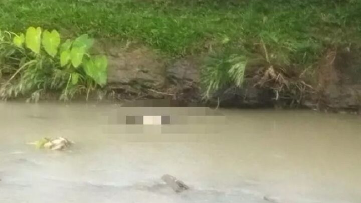 Corpo de homem é encontrado boiando em rio e intriga moradores no Alto Vale do Itajaí