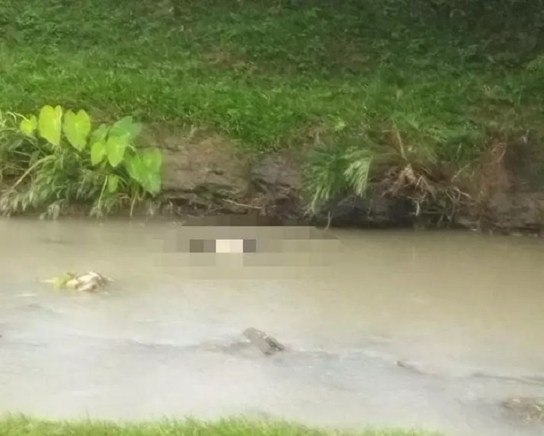 Corpo de homem é encontrado boiando em rio e intriga moradores no Alto Vale do Itajaí