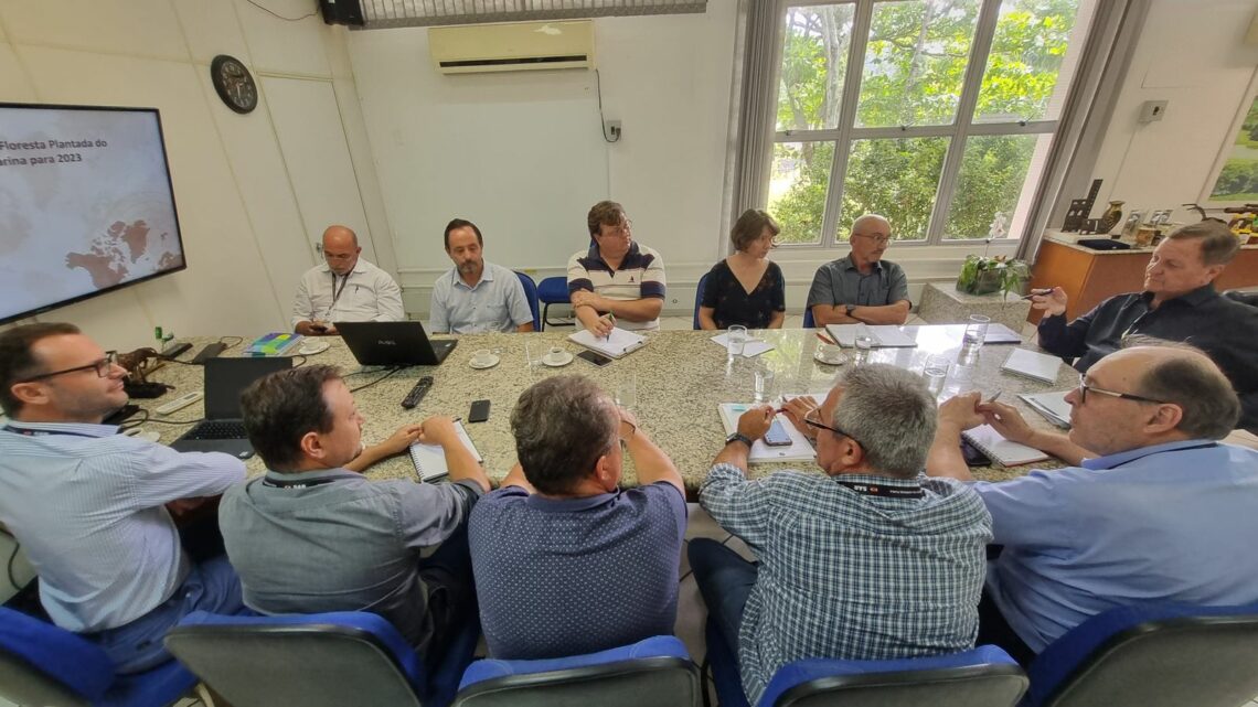 Dados parciais do Inventário Florestal evidenciam potencial econômico das áreas de reflorestamento