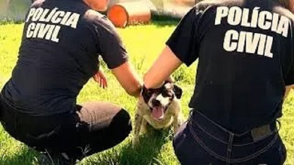 Homem é flagrado em filmagem abusando sexualmente de cão em SC