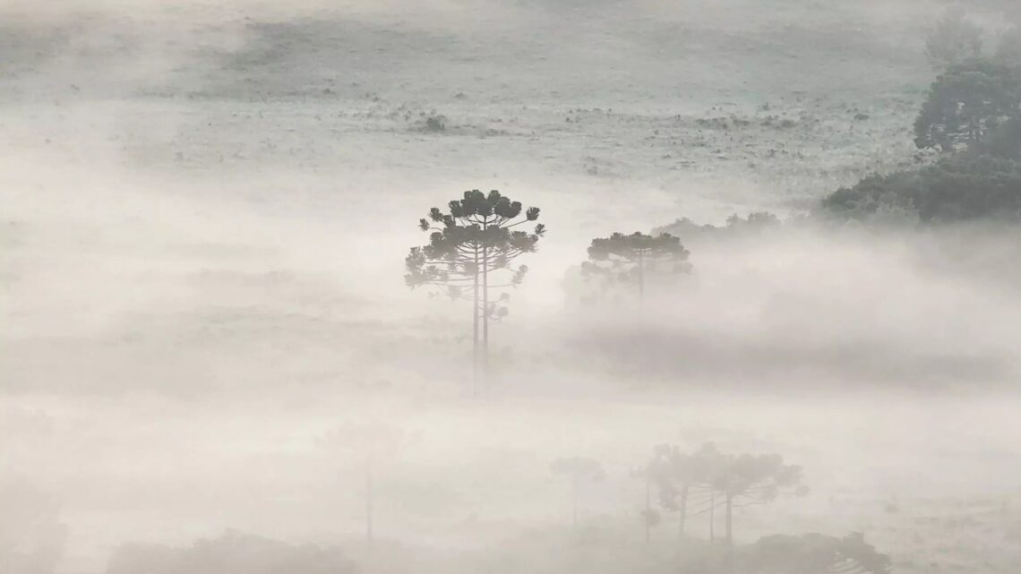 Mais geada e episódios de neve: entenda como será o inverno em Santa Catarina