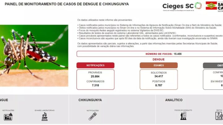 Plataforma para monitoramento da dengue é lançada em SC; confira