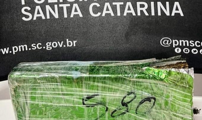 Cão policial localiza pacote com maconha dentro de área de mata em Xanxerê