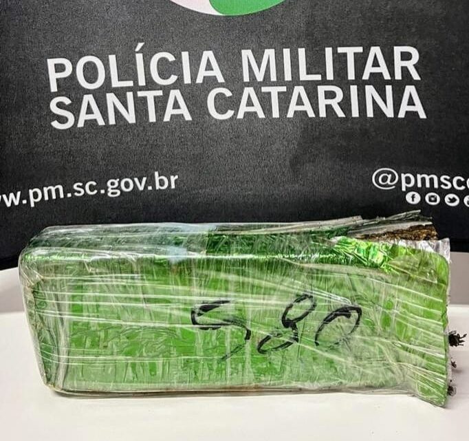 Cão policial localiza pacote com maconha dentro de área de mata em Xanxerê