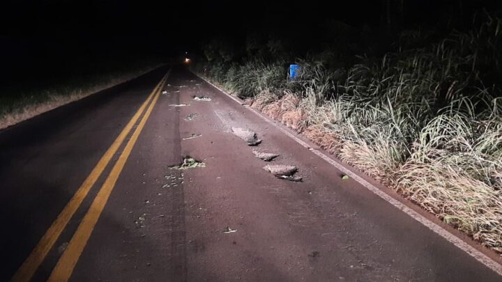 Motociclista fica ferido ao sofrer queda em tentativa de desviar buracos na SC-283