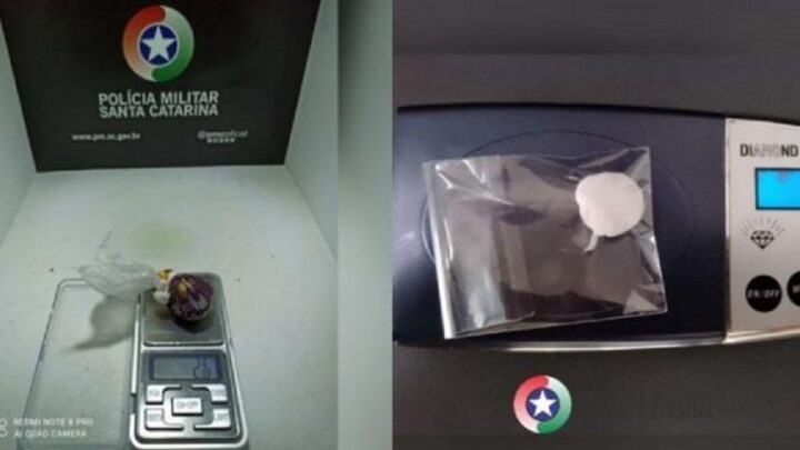Procedimentos por posse de drogas são realizados em Concórdia e Irani