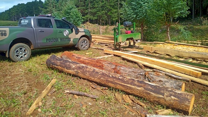 Operação descobre e apreende serraria móvel clandestina e madeiras cortadas ilegalmente