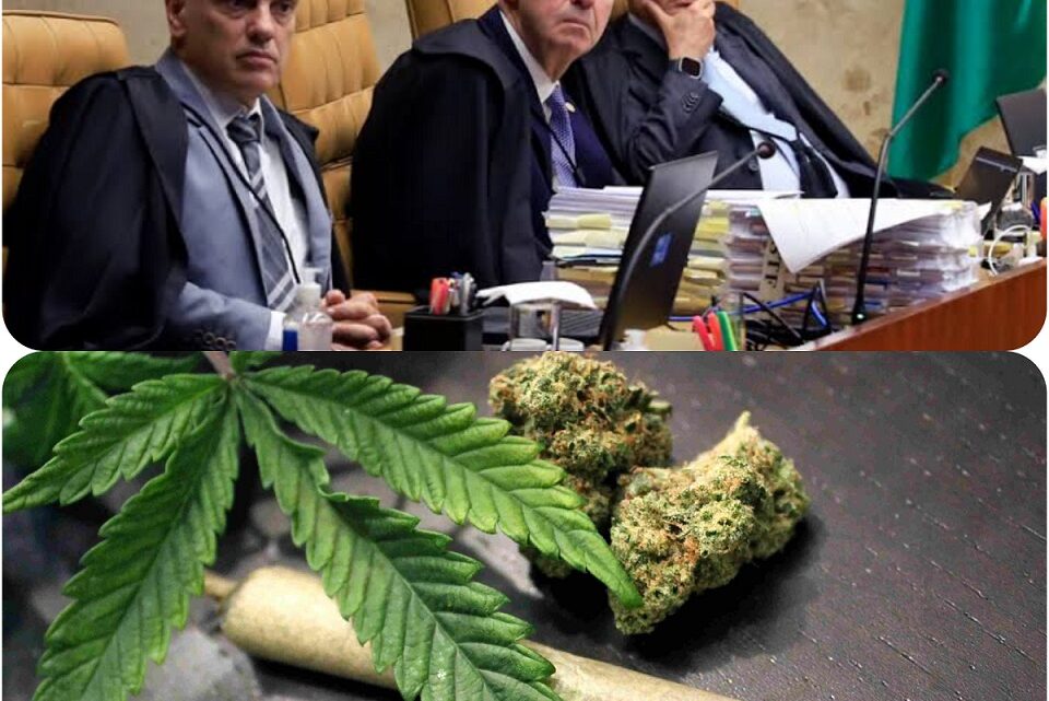 Com pedido de vista, placar para descriminalizar porte de maconha para uso pessoal é de 5 a 3 no STF