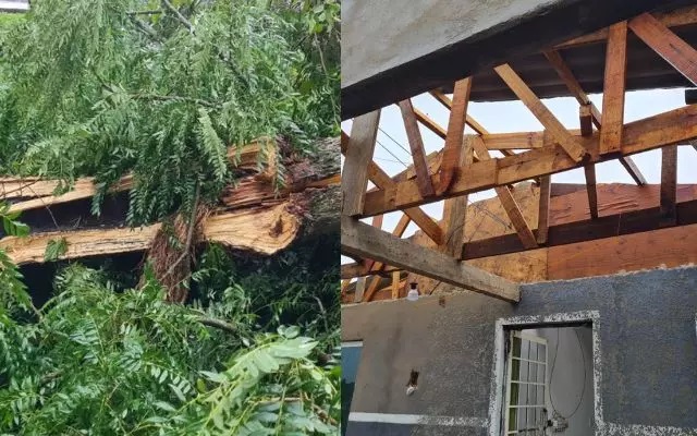 Forte chuva causa destelhamentos, queda de árvores e falta de luz no Oeste de SC