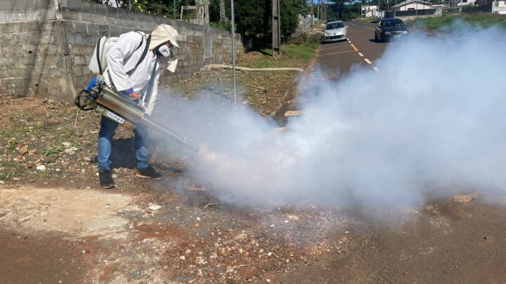 Dedetização para controle de pragas é realizado em Xaxim