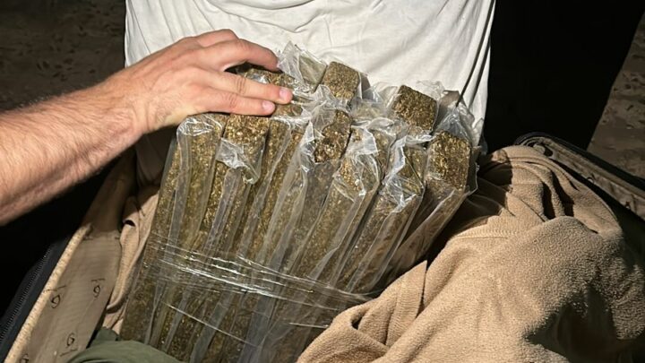 Polícia Civil apreende 10 kg de maconha na rodoviária de Maravilha