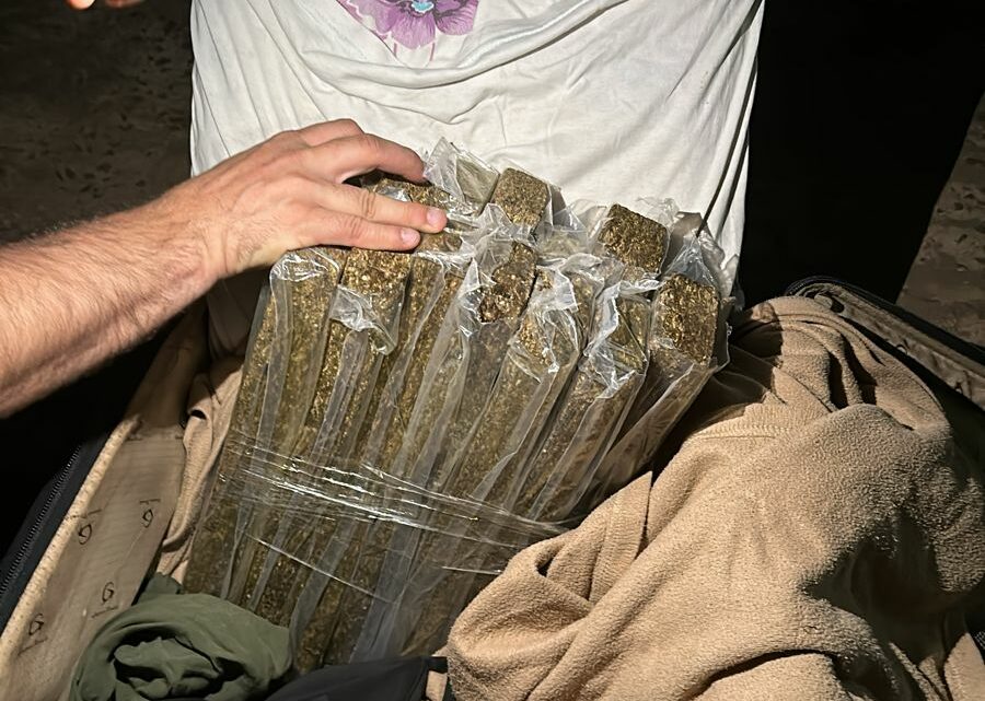 Polícia Civil apreende 10 kg de maconha na rodoviária de Maravilha