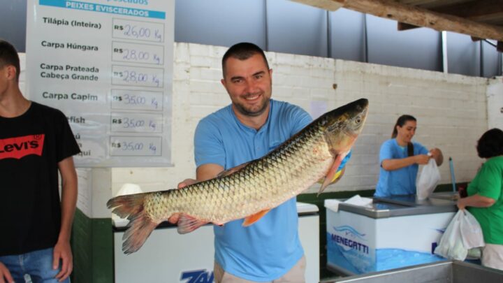 Feira do Peixe terá 18 pontos de comercialização em Chapecó