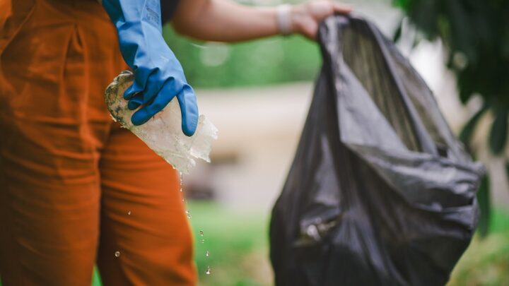 Casos de dengue em 2024 saltam 390% em Santa Catarina