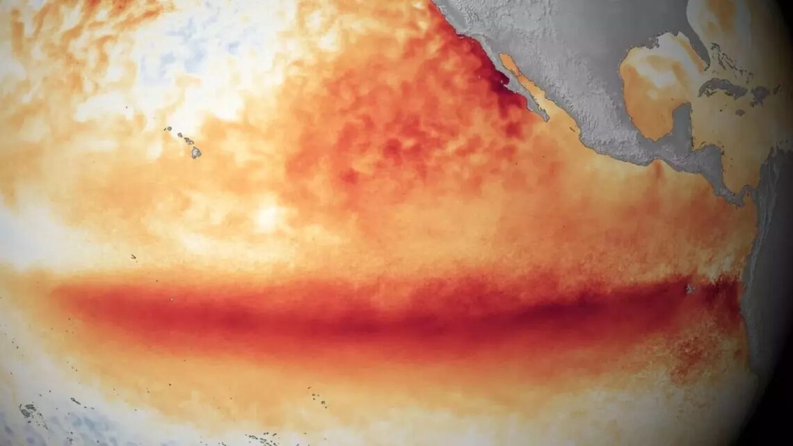 El Niño e La Niña: entenda a transição dos fenômenos esse ano
