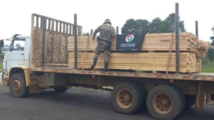 Polícia Militar flagra transporte irregular de madeira nativa em SC