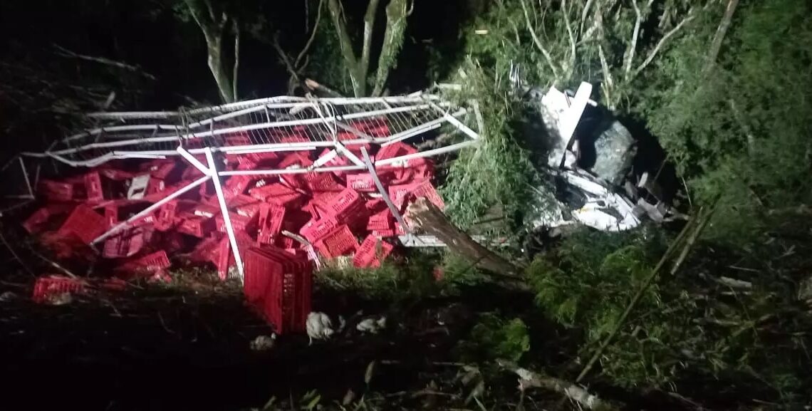 Caminhão sai de pista em Pinhalzinho e cai em ribanceira