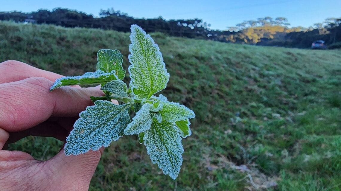 São Joaquim registra primeira geada do ano no Vale dos Caminhos da Neve