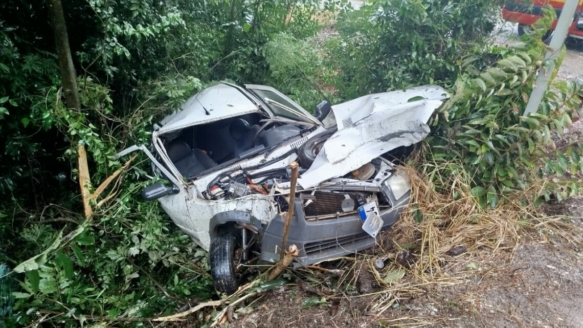 Veículo sai da pista e bate contra árvores na BR-282 em Maravilha