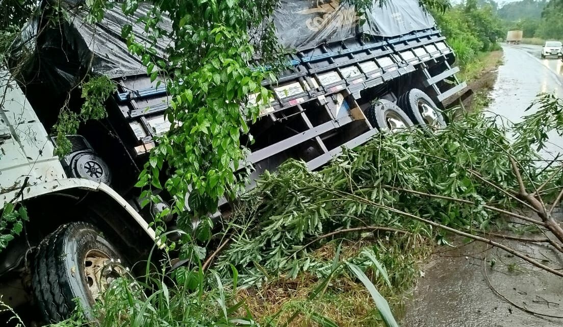 Caminhão sai da pista e bate em árvore na BR 282 em Iraceminha