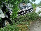 Caminhão sai da pista e bate em árvore na BR 282 em Iraceminha