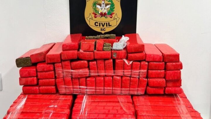 Polícia Civil prende homem em flagrante com mais de 91 quilos de maconha em SC