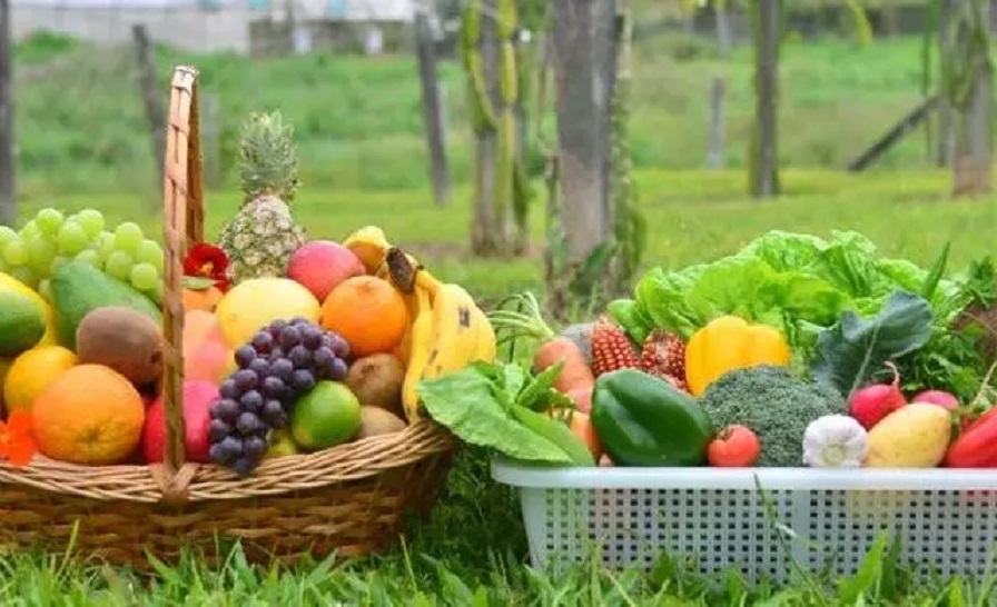 Santa Catarina lidera em Segurança Alimentar, aponta pesquisa