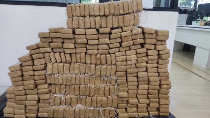 Forças policiais apreendem mais de 200 quilos de drogas em Itá