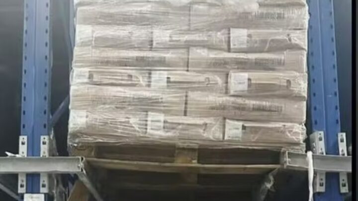 Carga com 90 toneladas de galinhas congeladas furtadas é localizada em SC