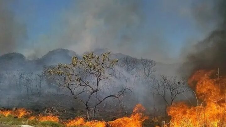 Incêndios no Pantanal e cerrado são os maiores em mais de 30 anos