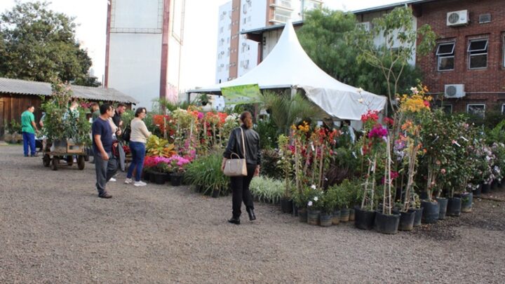 Secretaria de Desenvolvimento Rural promoverá Feira de Mudas em Chapecó